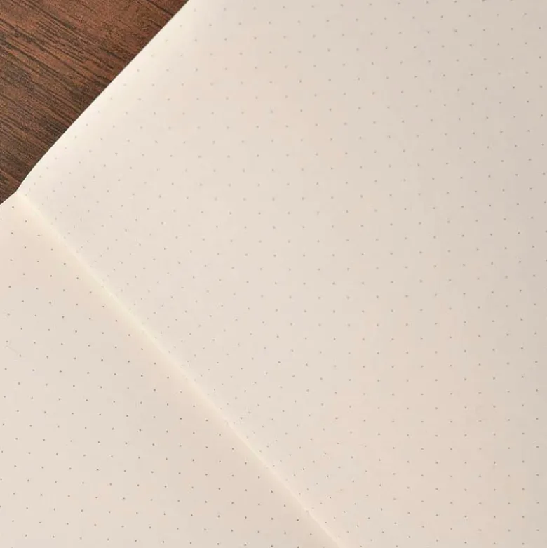 Apica | Cuaderno Premium B5 Silky Black (Puntos)