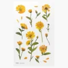 Appree | Pegatinas de Flores Prensadas Calendula