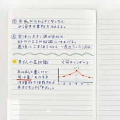 Hobonichi | Cuaderno Hobonichi Notebook A5 (Rayas)