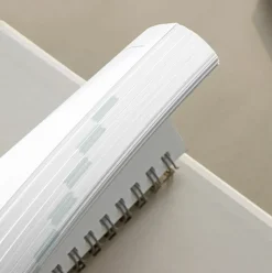 Iconic | Planificador de Estudio Hey Day Beige