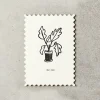 Katie Leamon | Postal Plants For You