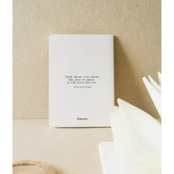 Kokonote | Pack de 3 Cuadernos A6 Botanical Wild Flowers