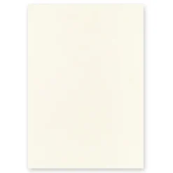 Midori | Cuaderno MD Midori Notebook THICK A5 Liso