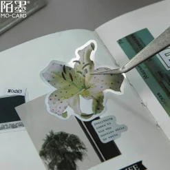 Mo Card | Pegatinas en Rollo Flower Meaning Night Before Dawn