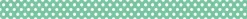 MT Masking Tape | Dot Emerald Green Washi Tape