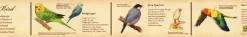 MT Masking Tape | Encyclopedia Birds Washi Tape