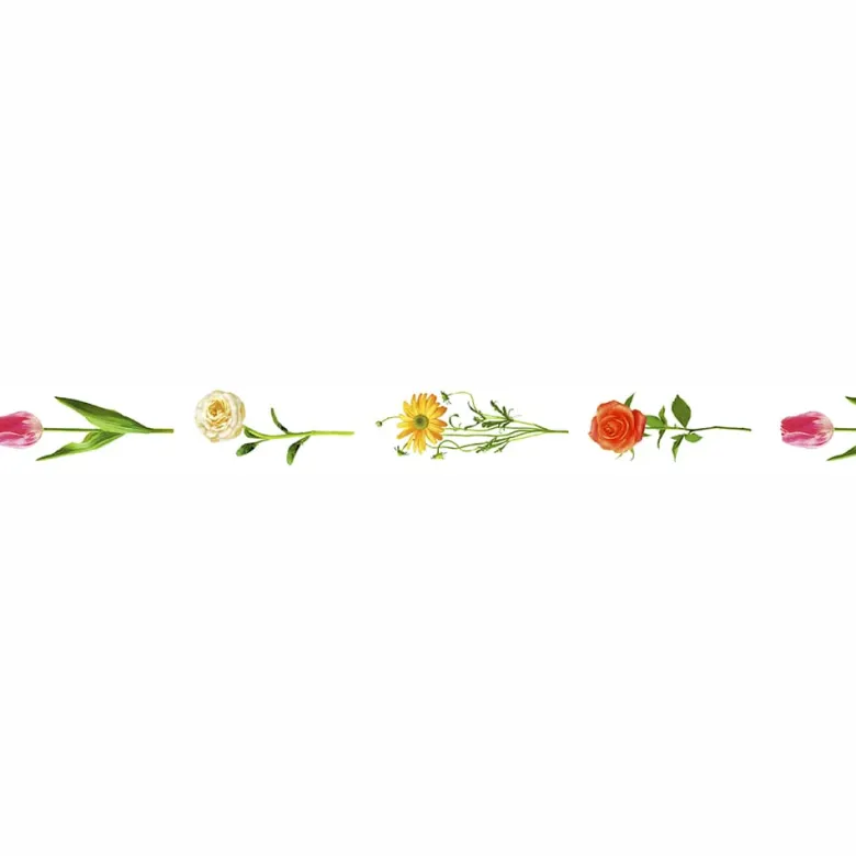 MT Masking Tape | Hana R Washi Tape