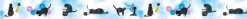 MT Masking Tape | Summer Cat Washi Tape