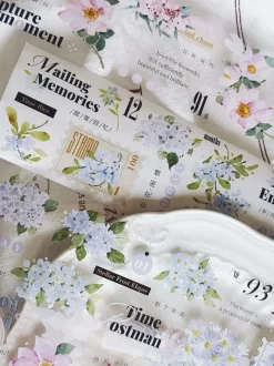 XiYue | A Spring Day PET Tape (1 metro)